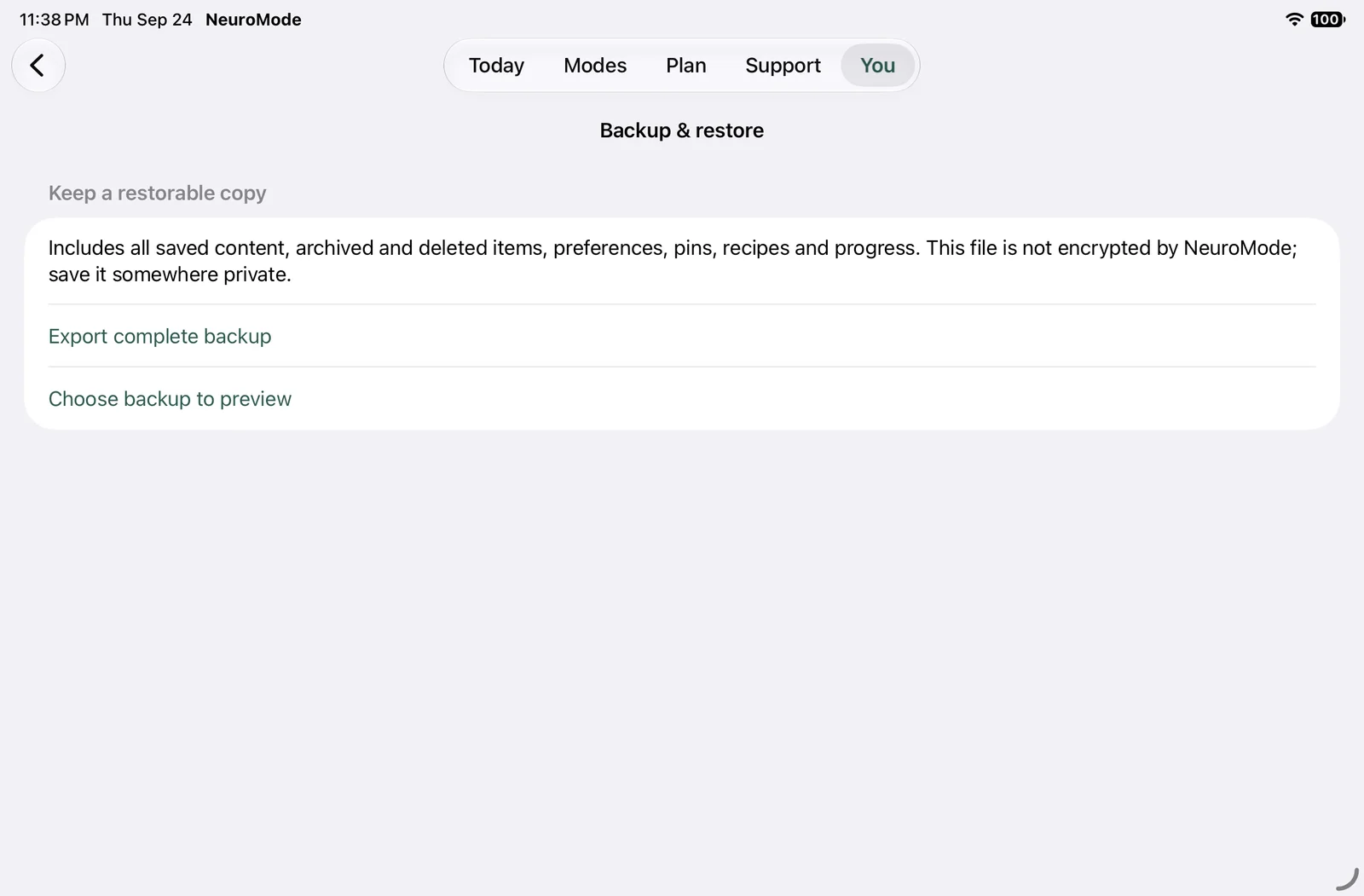 Retained iPad landscape backup interface: preview consequences before committing.